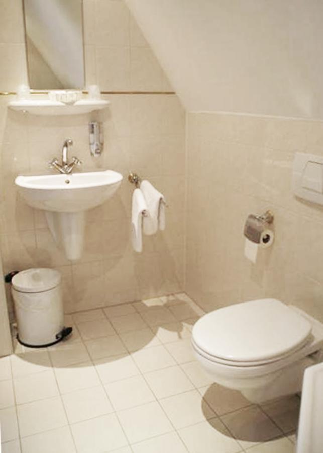 De Gouden Molen Hotel Rossum  Екстериор снимка